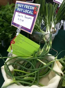 Garlic scapes at Farmers Market