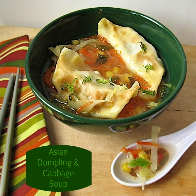 Asian Dumpling & Cabbage Soup | Teaspoonofspice.com