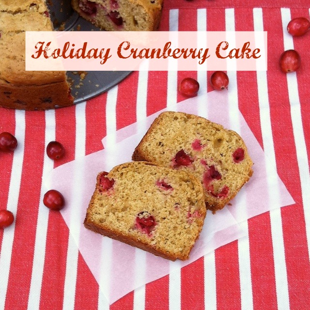 Holiday Cranberry Cake | Teaspoonofspice.com