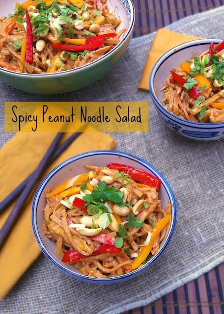 Spicy Peanut Noodle Salad | Teaspoonofspice.com