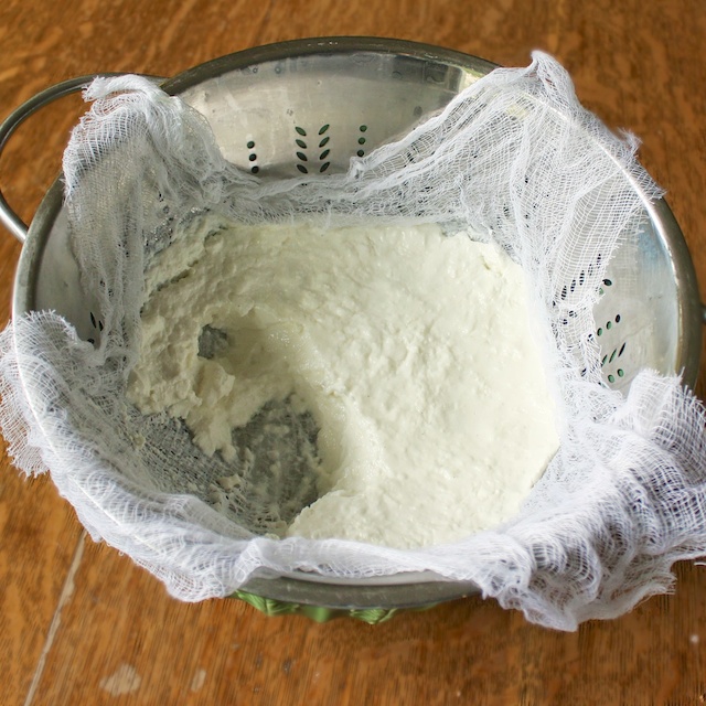 Homemade Greek Yogurt | TeaspoonofSpice.com