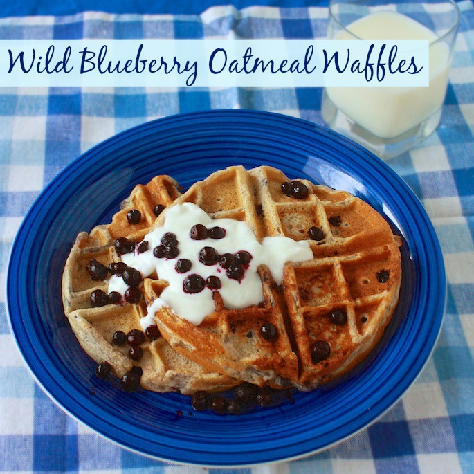 Wild Blueberry Oatmeal Waffles | Teaspoonofspice.com
