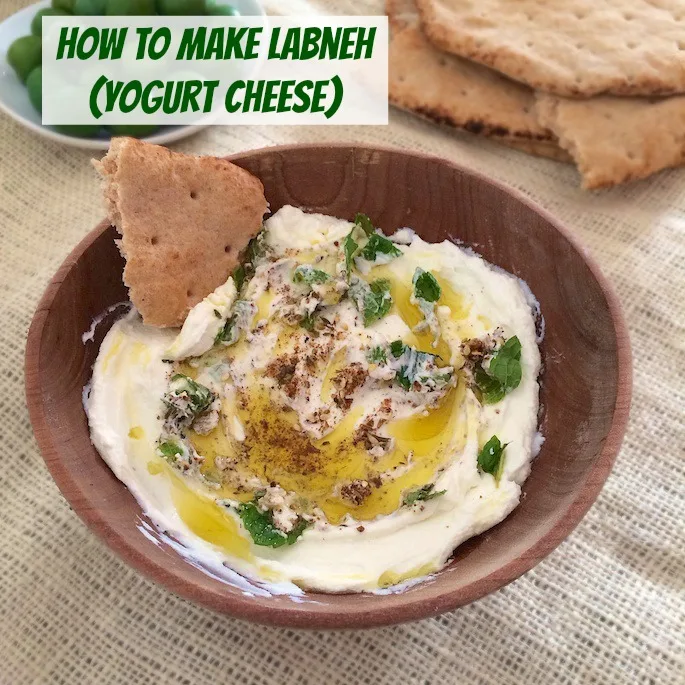 How To Make Labneh Yogurt Cheese | Teaspoonofspice.com