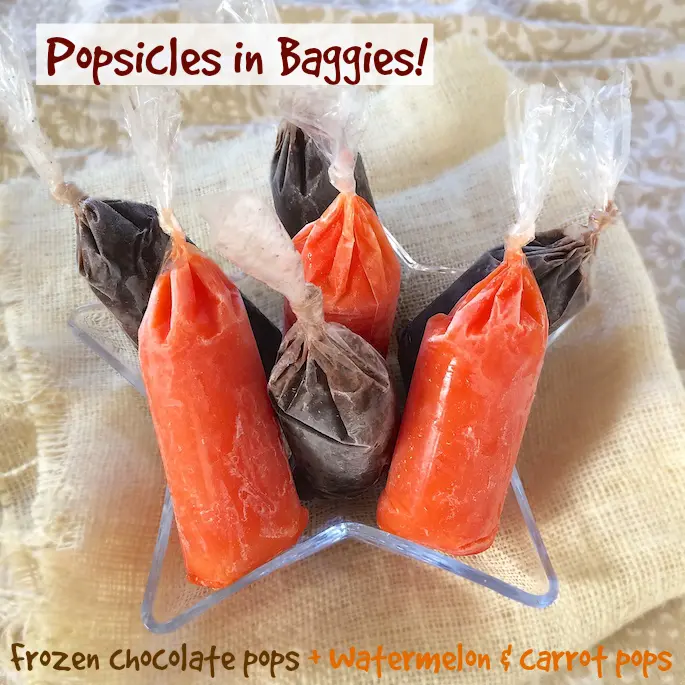 Frozen Chocolate and Fruit & Veggie Pops in Baggies | Teaspoonofspice.com