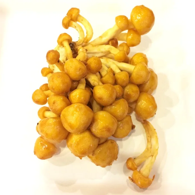 Honey Capped Mushrooms | Teaspoonofspice.com