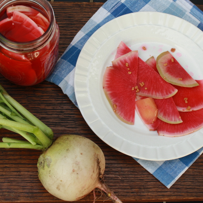 Just 5 ingredients to make the perfect pickle: QUICK RADISH PICKLES | @TspCurry