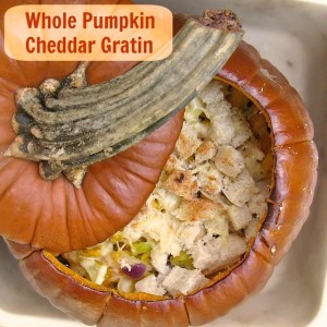 Whole Pumpkin Cheddar Gratin | TeaspoonofSpice.com