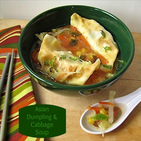 Asian Dumpling and Cabbage Soup