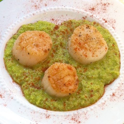Seared Scallops with Fava Bean Purée