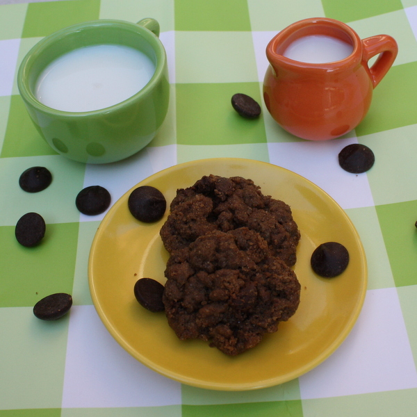 Double Chocolate Cookies with Flax