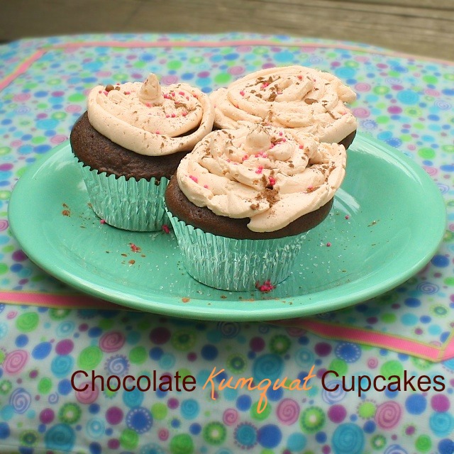 Chocolate Kumquat Cupcakes