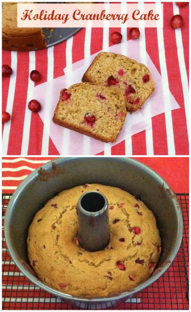 If you love cranberries, this is a must make recipe for the holidays! Recipe at Teaspoonofspice.com