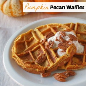 Pumpkin Pecan Waffles | Teaspoonofspice.com