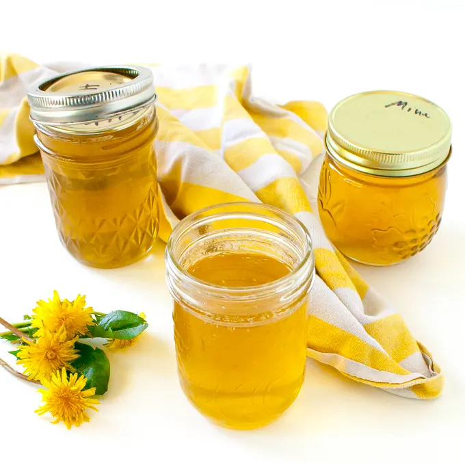 Foraging leads to easy jelly: HOW TO MAKE DANDELION JELLY | @TspCurry - TeaspoonOfSpice.com