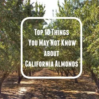 Top 10 Cool Things I Learned About California Almonds (like how you get them out of the tree!) @tspbasil