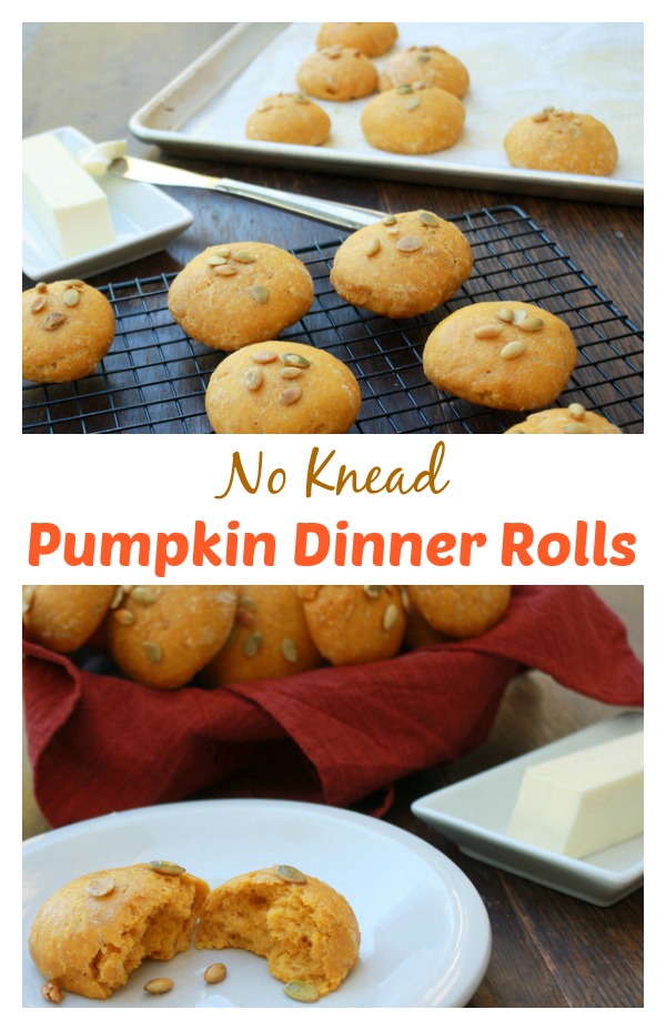 Pillowy-soft rolls. Perfect for the holidays or any day time is tight: No Knead Pumpkin Dinner Rolls | @tspcurry