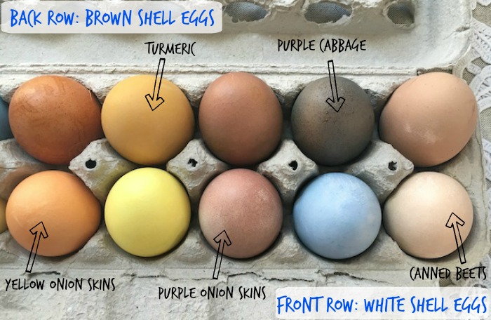 How to make natural dyes for Easter Eggs! @tspbasil
