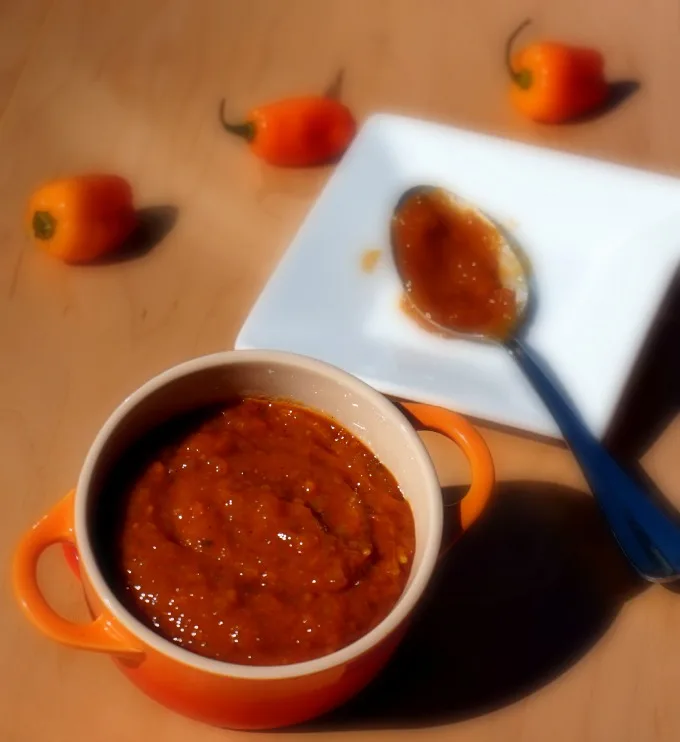 13 Drool-Worthy and Better for You Barbecue Sauces + Marinades: Sweet & Spicy Habanero BBQ Sauce