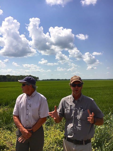 Delta Seed 3rd generation rice farmers in Greenville, MS (courtesy of #sponsored Uncle Ben's Rice Tour)