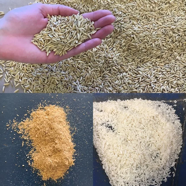 Different stages of rice milling (courtesy of #sponsored Uncle Ben's Rice Tour) 