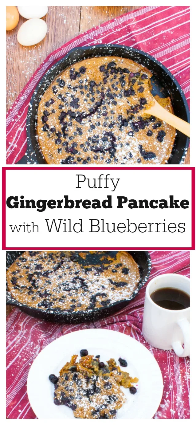 #AD: Make this crowd-pleasing holiday brunch dish in only 20 minutes: Puffy Gingerbread Oven Pancake with Wild Blueberries | @Tspcurry - For more BRUNCH recipes go to TeaspoonOfSpice.com