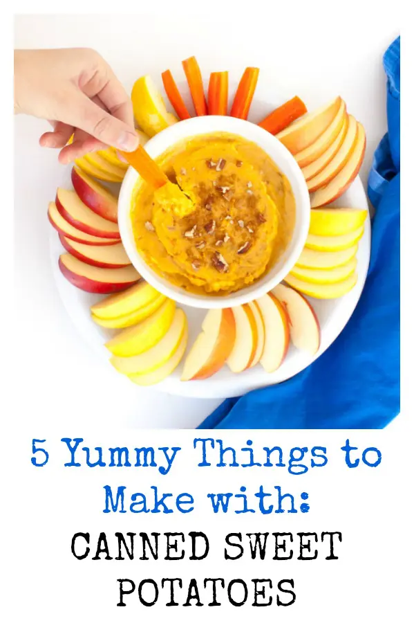From sweet/savory dip to easy soup: 5 THINGS TO MAKE WITH CANNED via SWEET POTATOES - For more easy #healthy recipes - https://www.pinterest.com/tspcurry/ #easyrecipe #easy #recipe