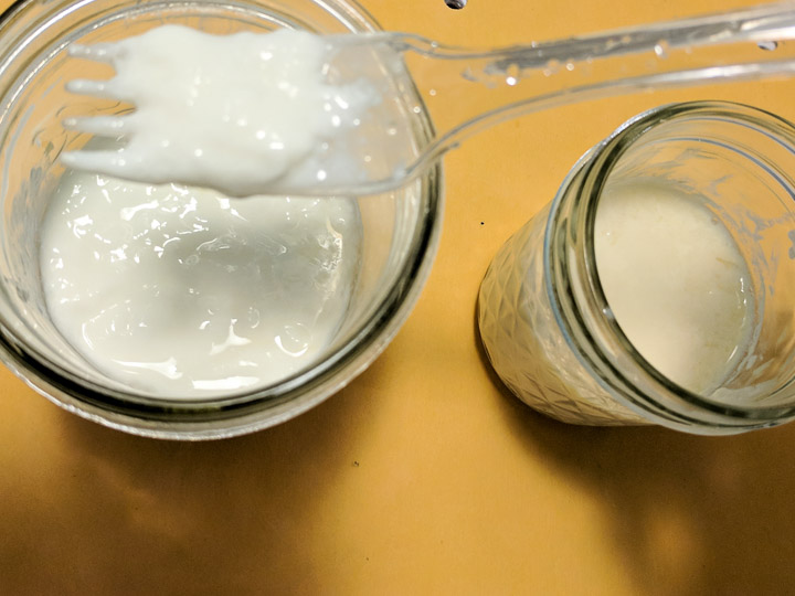 How to Make Homemade Kefir from Almond Milk Soy Milk | @TspCurry