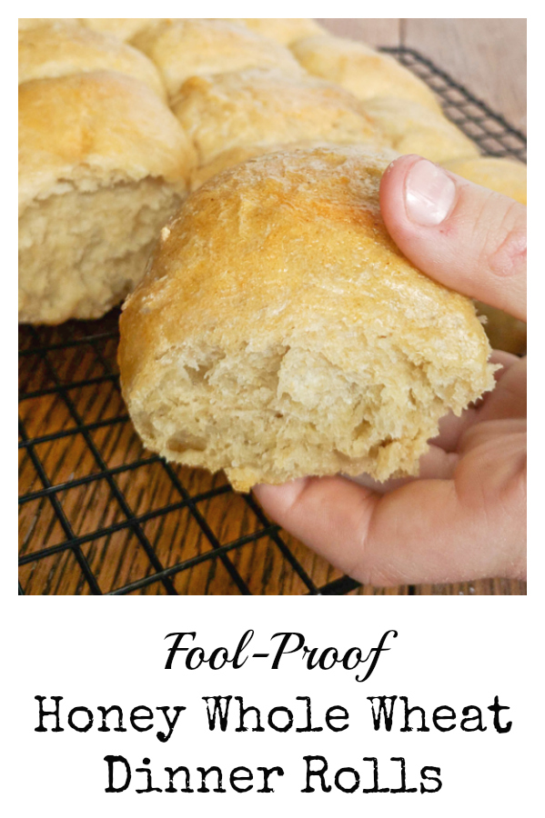 Easy for beginner bread bakers: FOOL-PROOF HONEY WHOLE WHEAT DINNER ROLLS - More #healthy recipes at: https://www.pinterest.com/tspcurry/