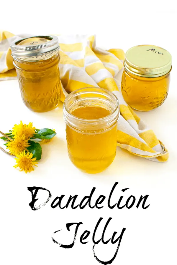 Tastes like honey! Impossibly easy to make: DANDELION JELLY | @TspCurry - TeaspoonOfSpice.com